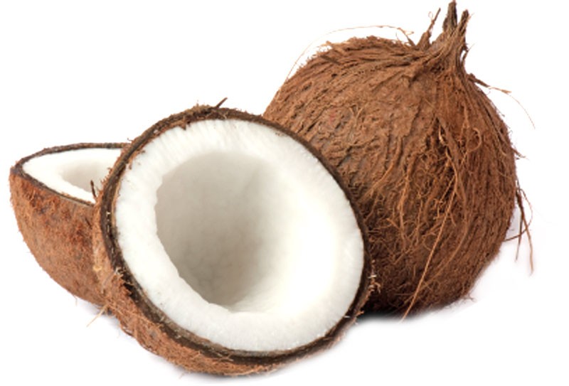 جوز هند - أسعار السوق الحالية وطرق الشراء 2026-03-16